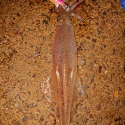 気持ちいい釣り日和