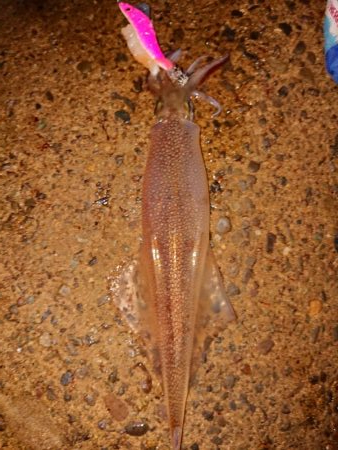 気持ちいい釣り日和