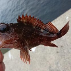 好状況ながら渋い