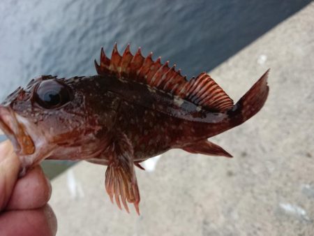 好状況ながら渋い
