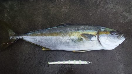 まだまだ渋さ継続中