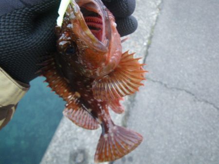 12時間耐久ライトロック