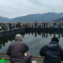 二年振りの余呉湖