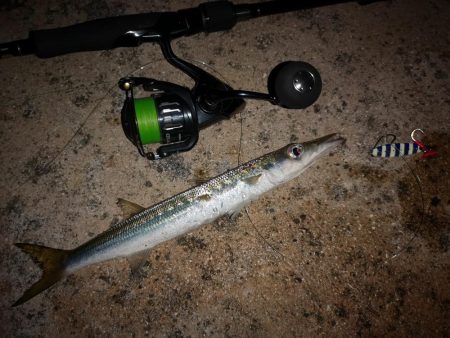 今日も強風で渋いです。