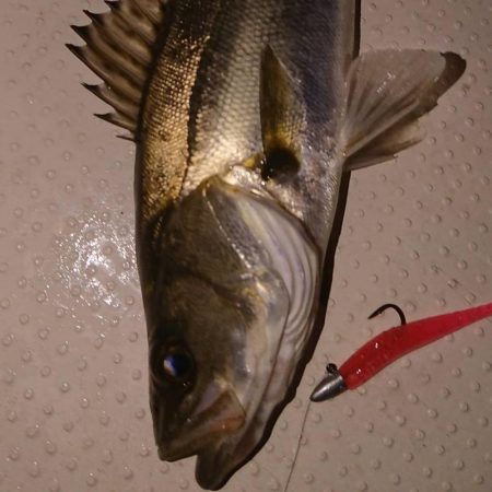 ボートメバリング