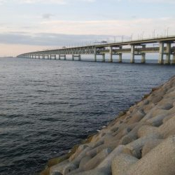 極寒メバリング