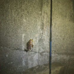 今夜もメバル釣り