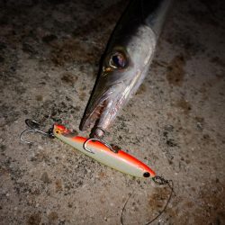 ルアーが変わっても釣れるのは同じ