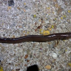 北西風を避けて