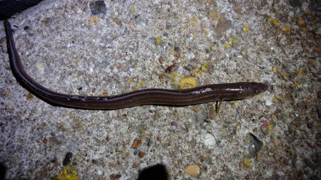 北西風を避けて