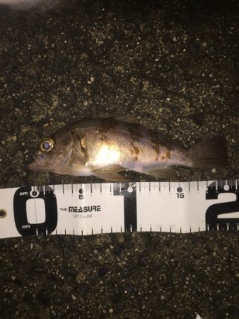 ビックリした！ぞ