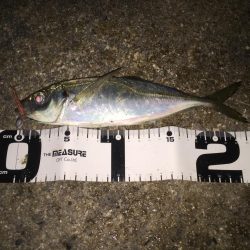 遠征！えんせい！ENSEI!!