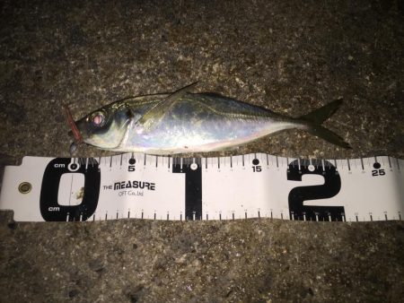 遠征！えんせい！ENSEI!!