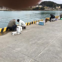 アジ28匹、サバ2匹