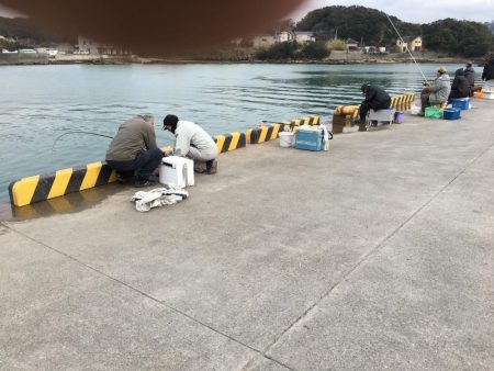 アジ28匹、サバ2匹