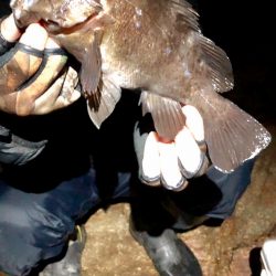 ２週間ぶりのガチンコメバリング