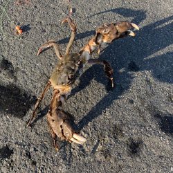 ２月なのにポカポカ釣行