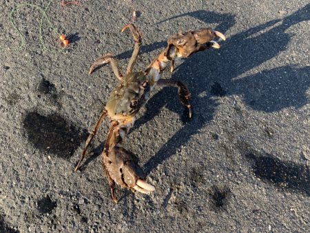 ２月なのにポカポカ釣行