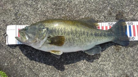 もう少しで60！でした。