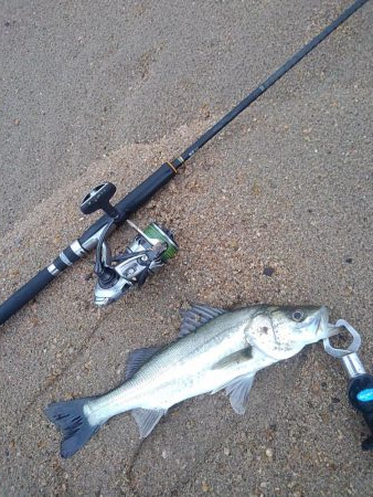 雨降ったりやんだり