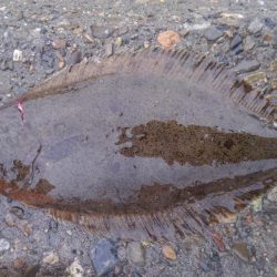 調子がいいっ！