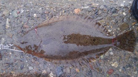 調子がいいっ！