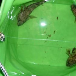 和歌山遠征も。。