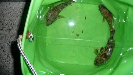 和歌山遠征も。。