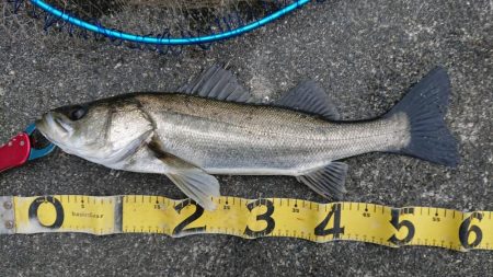 にわか雨が降って来た夕練