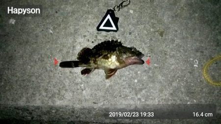 全体的に小さい