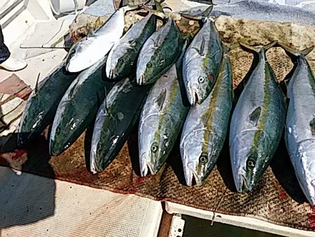 大物釣果速報！●光義丸：平戸市早福港