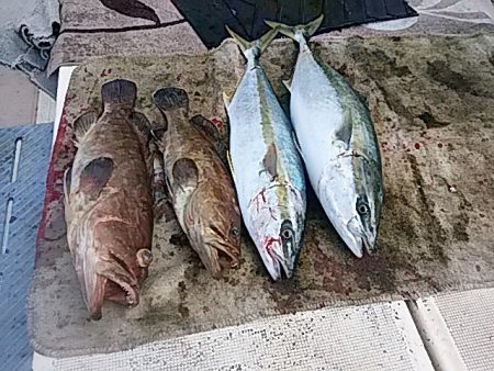 大物釣果速報！●光義丸：平戸市早福港