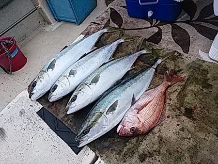 大物釣果速報！●光義丸：平戸市早福港