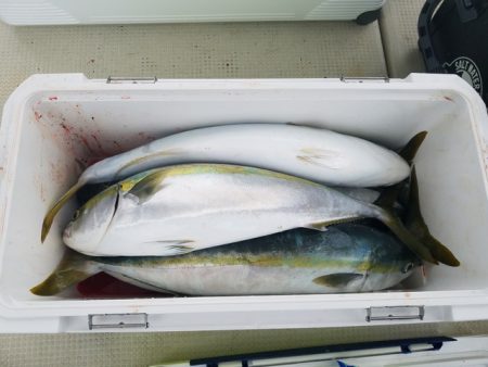 遊漁船　ニライカナイ 釣果