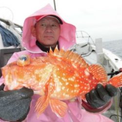 根魚釣り