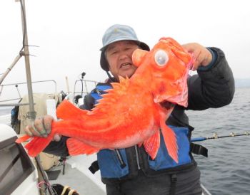 ムツ・アコウ釣り