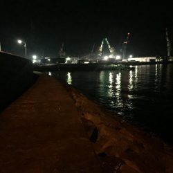 出張の楽しみ④最終日