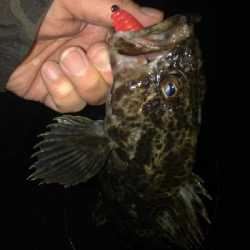 寒いけど熱い。