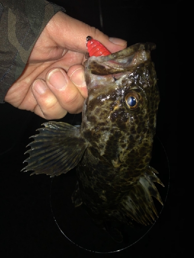 寒いけど熱い。