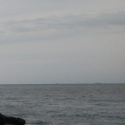 レッドモンスター？