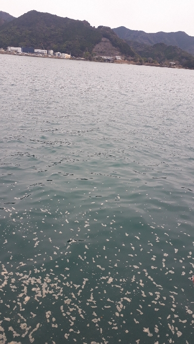 キミじゃないんだ！