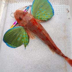 筋肉痛ジギング