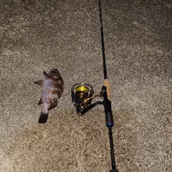 気になるポイントで…