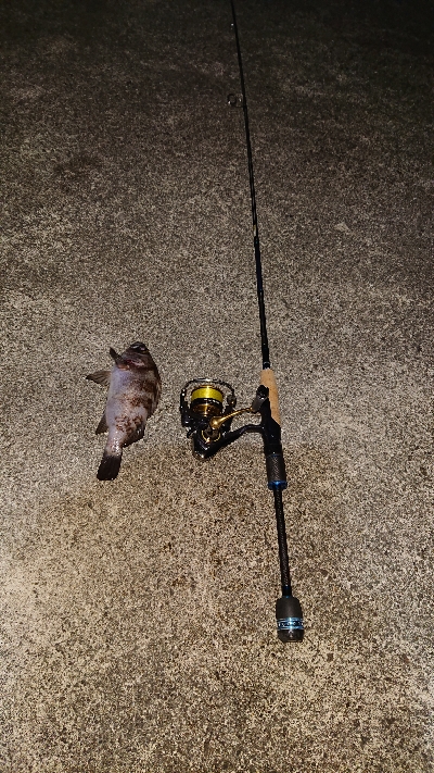 気になるポイントで…