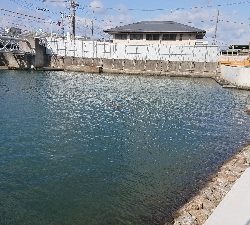 冷え込みで活性低め?