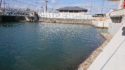 冷え込みで活性低め？