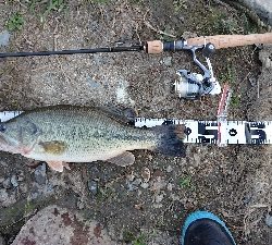 2019初フィッシュ!