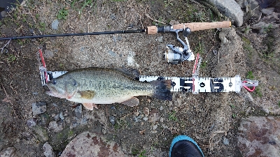 2019初フィッシュ！