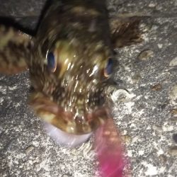 今一つでした。