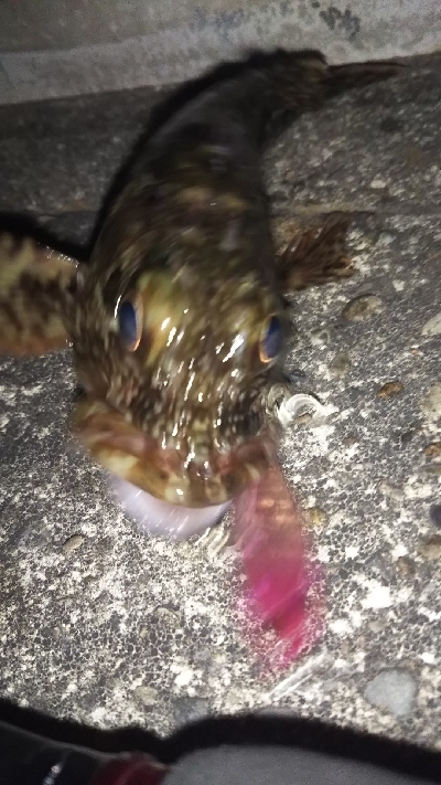 今一つでした。